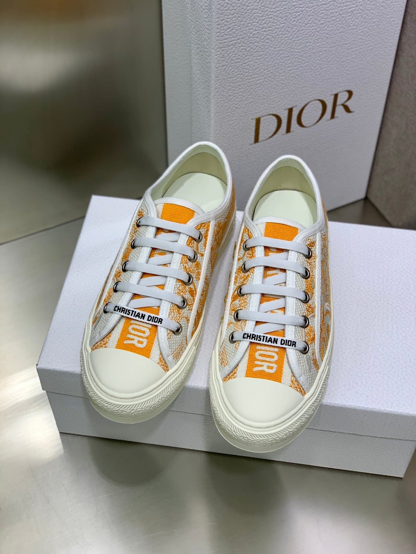 Dior 2026 Walk'n'Dior Sneakers Canvas Lace 966616