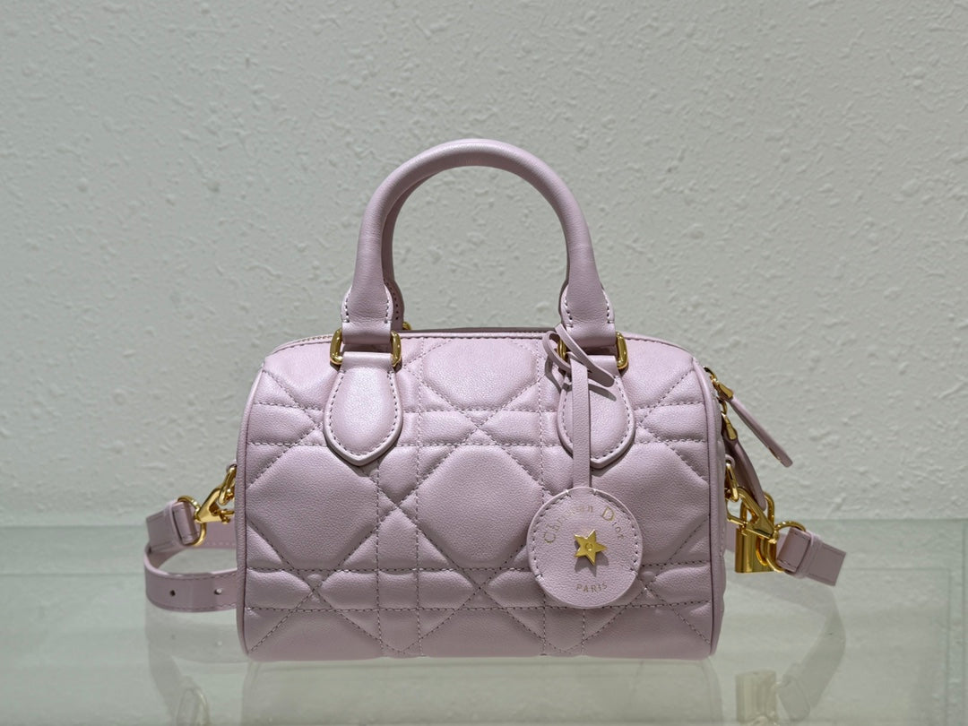 Dior 2026 Groove Bag Pink Calfskin Gold Hardware