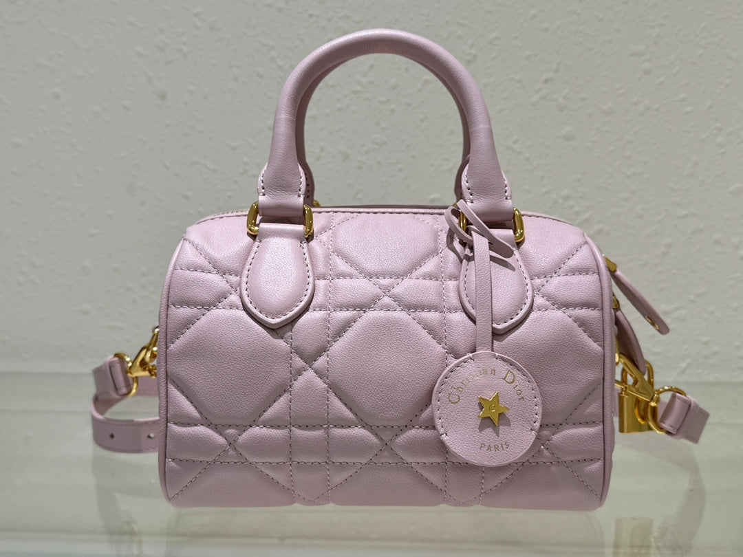 Dior 2026 Groove Bag Pink Calfskin Gold Hardware