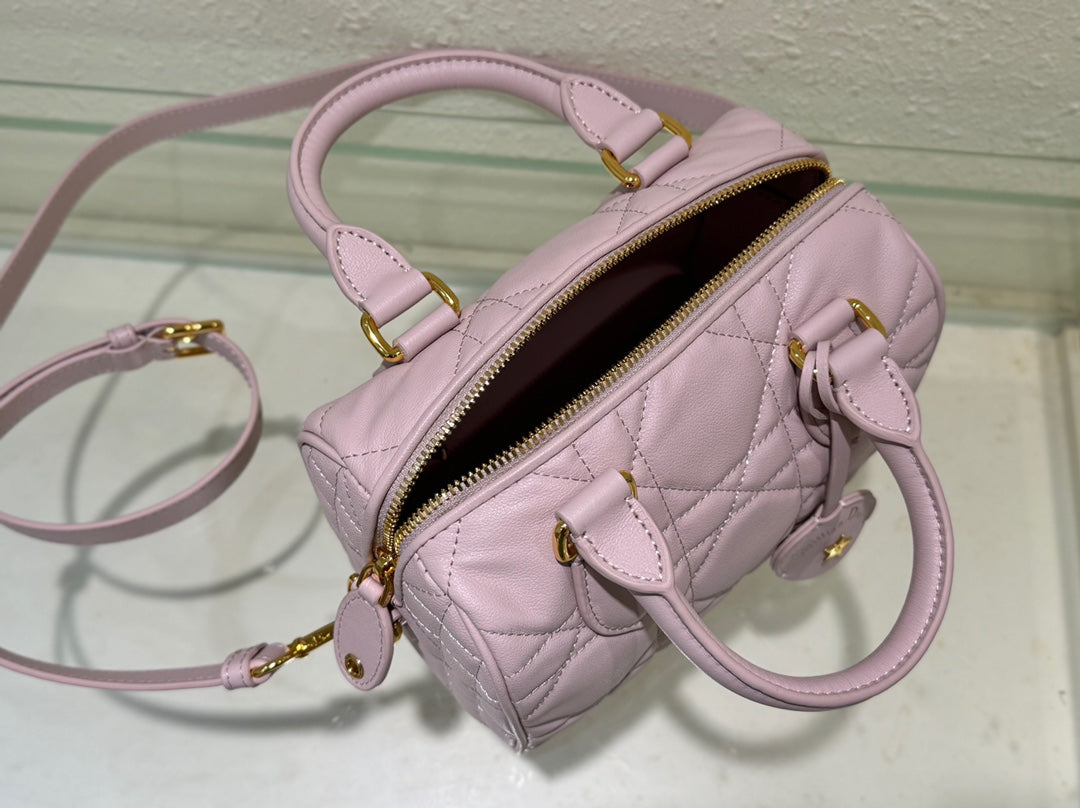 Dior 2026 Groove Bag Pink Calfskin Gold Hardware