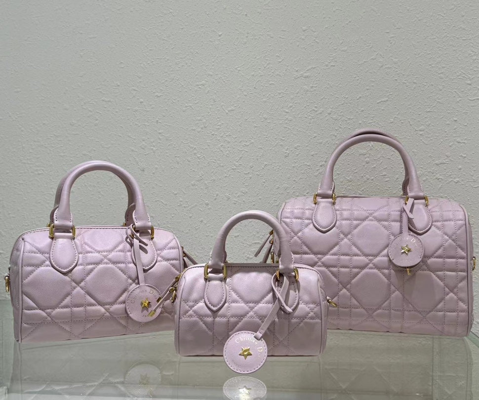 Dior 2026 Groove Bag Pink Calfskin Gold Hardware