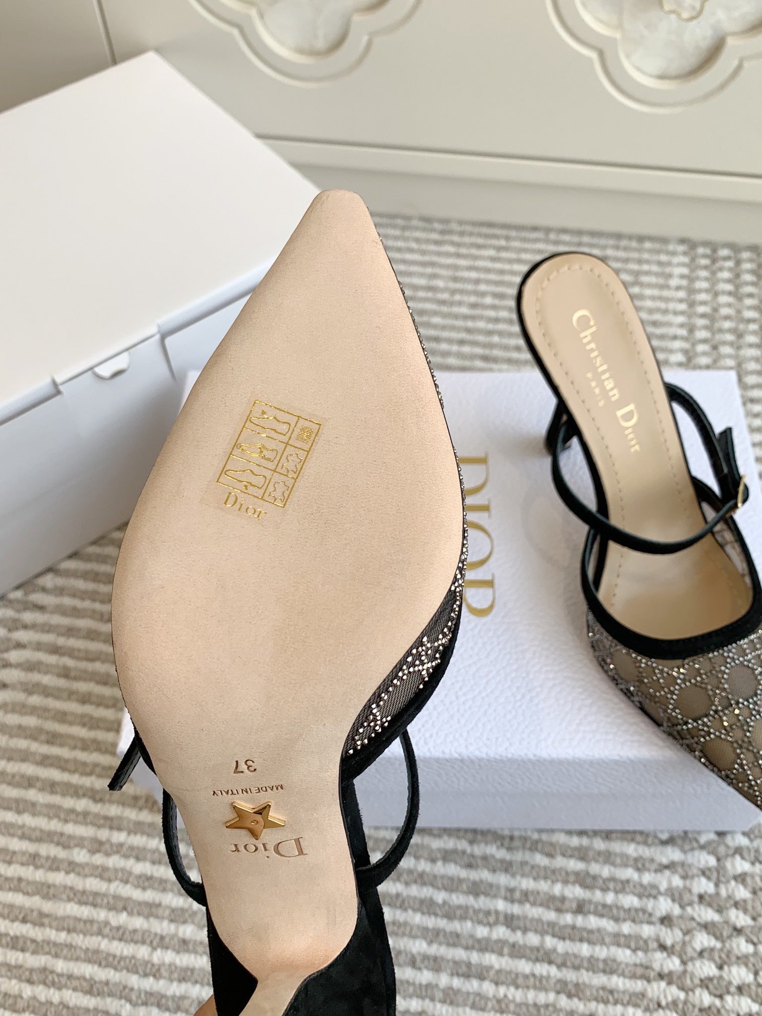 Dior 2026 Capture Heeled Mule 100mm Mesh 884749