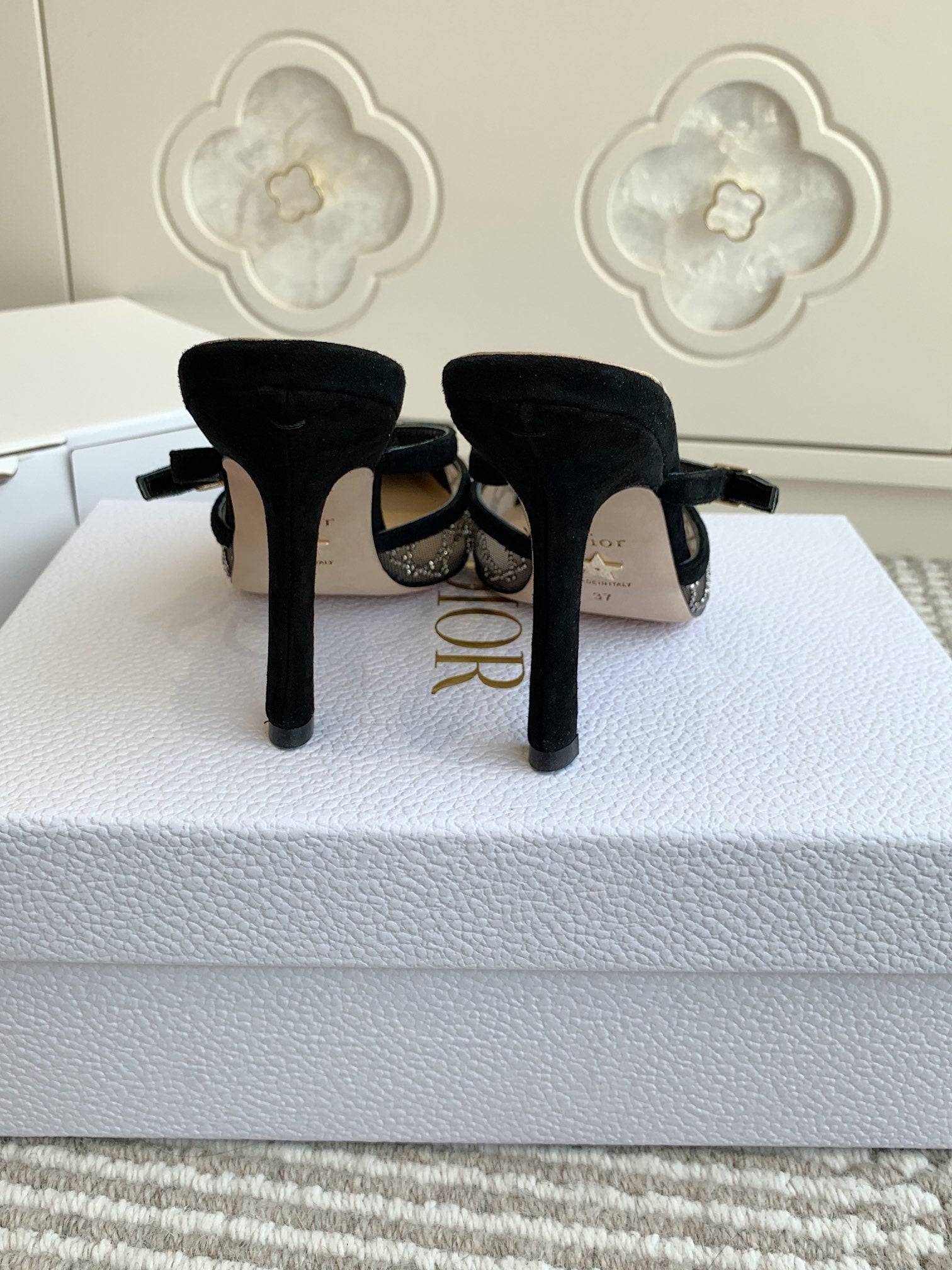 Dior 2026 Capture Heeled Mule 100mm Mesh 884749