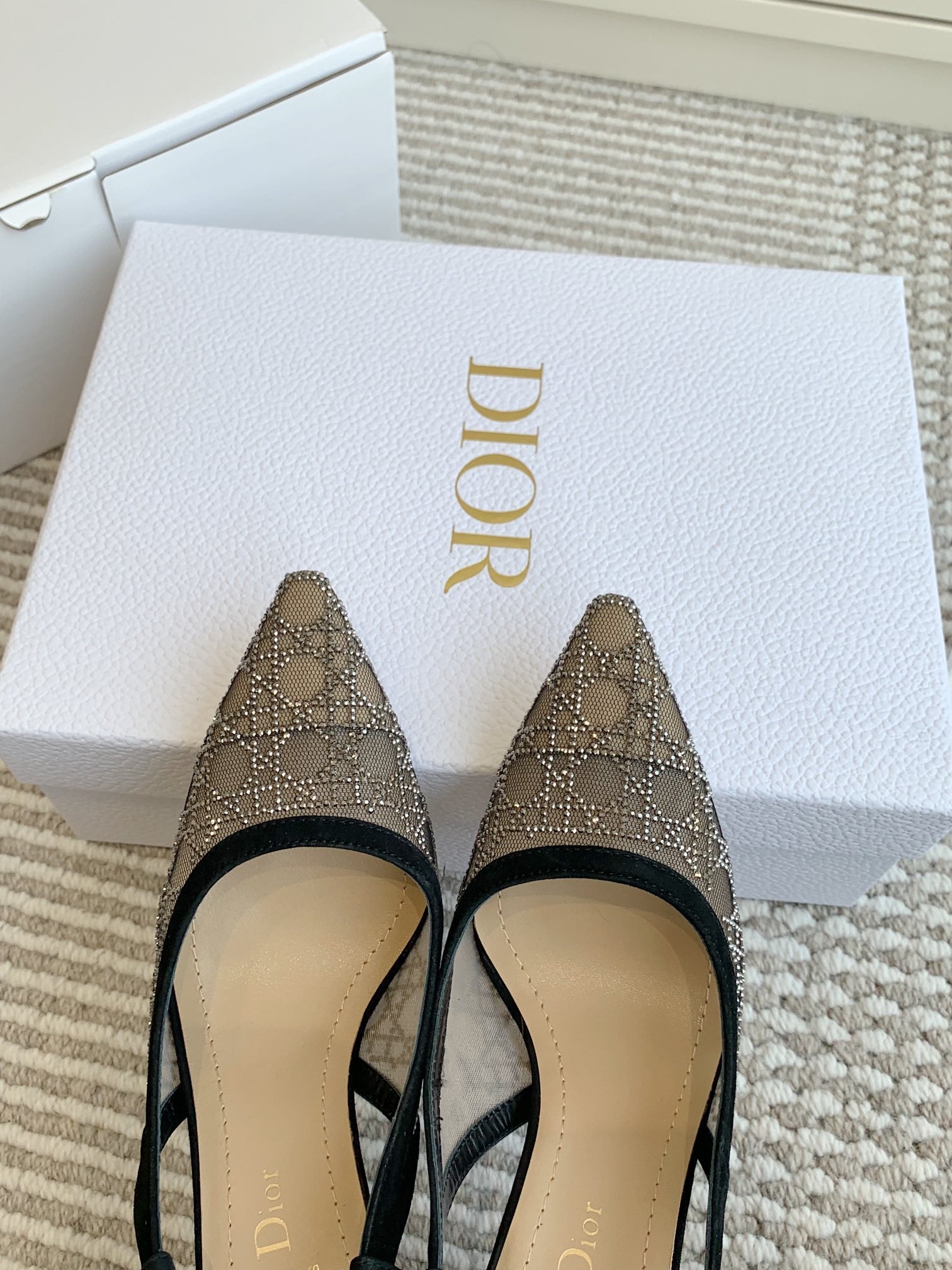 Dior 2026 Slingback Pump Mesh 884753