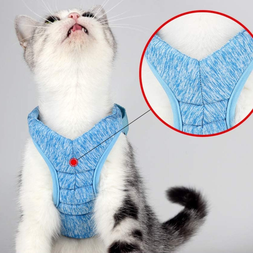 Harnais + Laisse design Velcro anti-évasion réglable