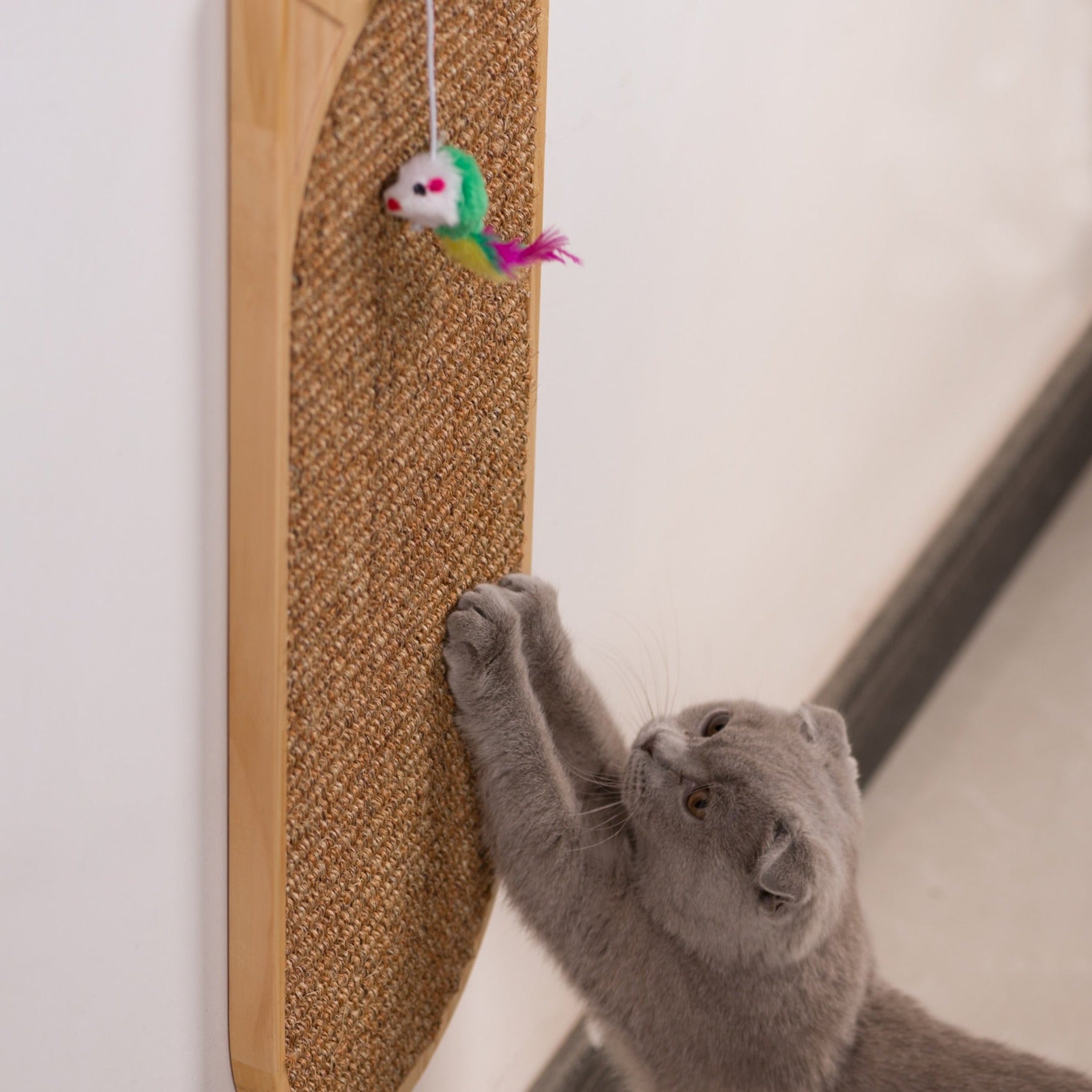 GRATTY - Grattoir mural pour chat design oreilles de chat