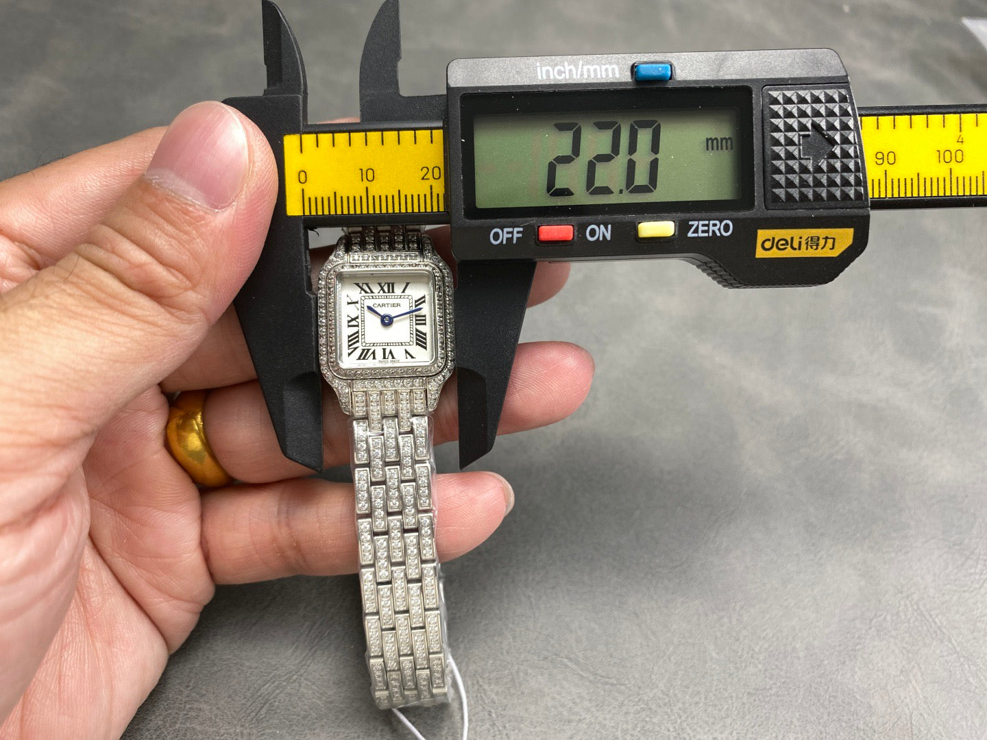 Cartier Panthère de Cartier Diamond Silver Dial