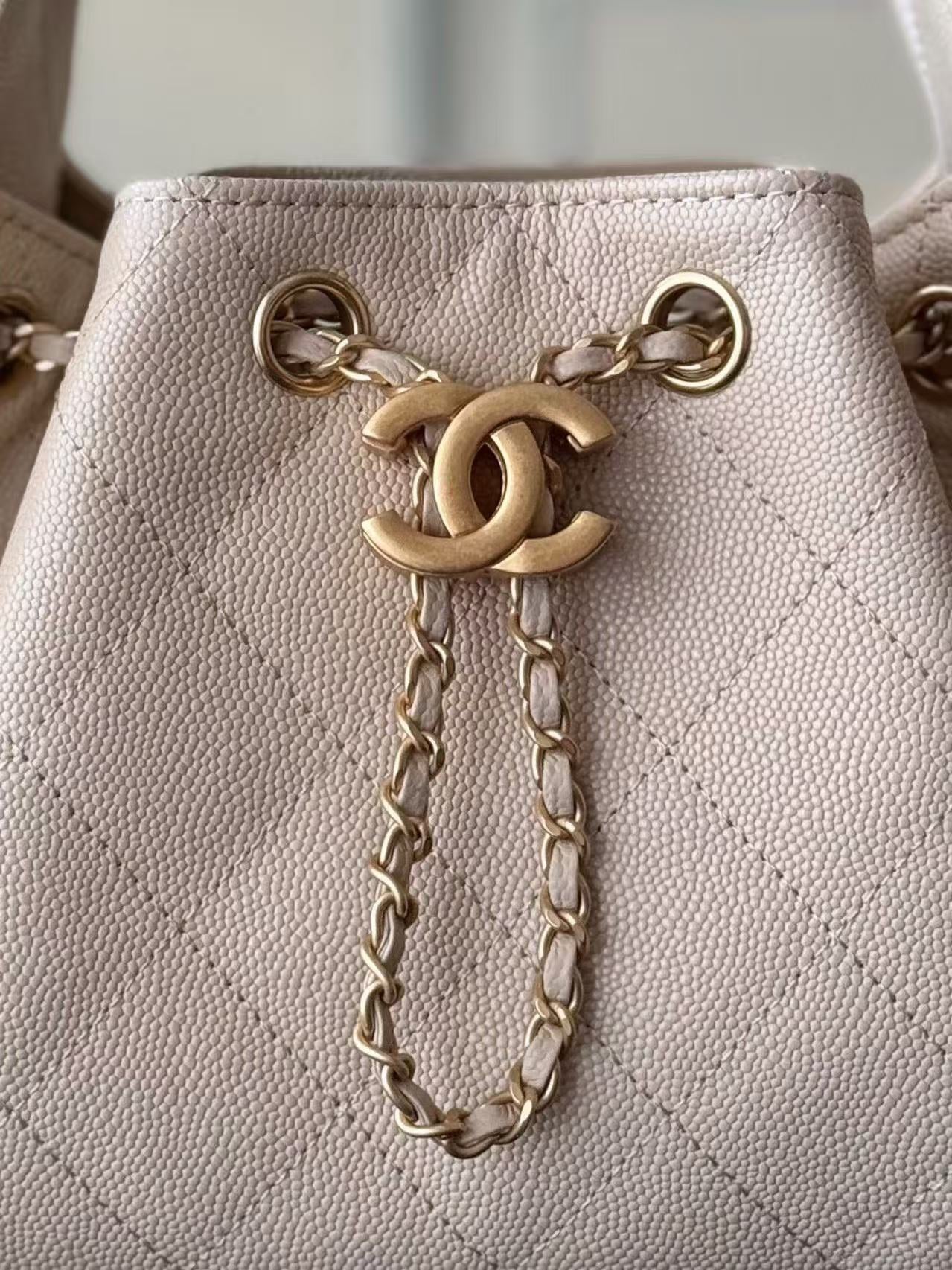 Chanel 2026 Hobo Bag 22cm Nude Calfskin