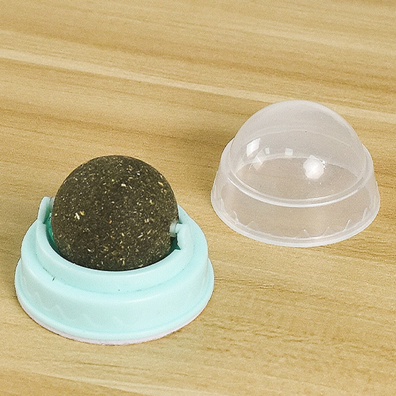 Jeux boule herbe à chat mural SENSE