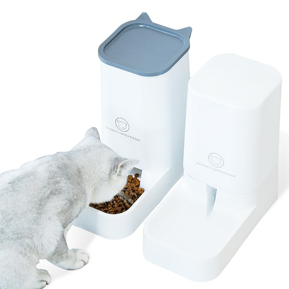 Distributeur croquette & eau grande capacité 3,8L