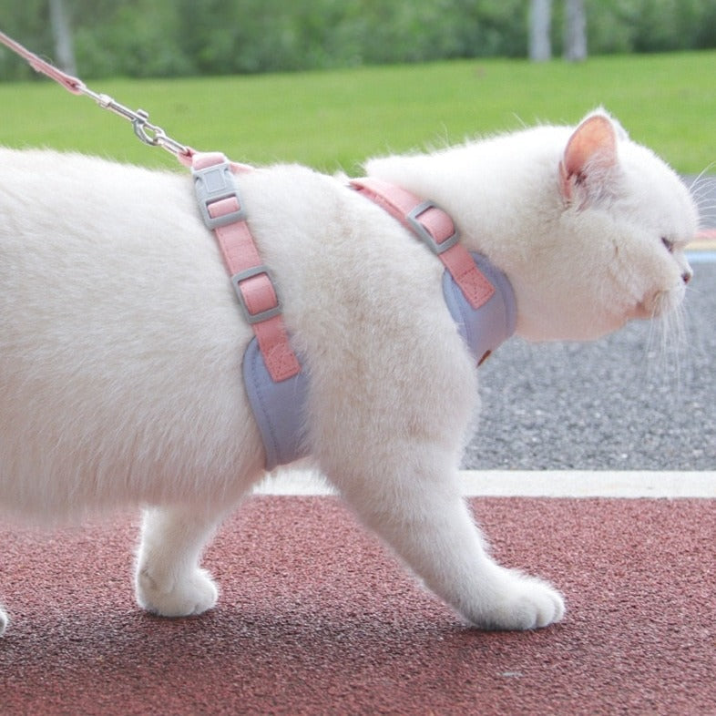 Harnais + Laisse contrôle facile marche et évasion SIMPLY