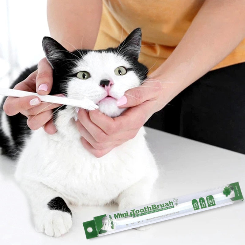 NEO - Brosse à dents souple pour chat