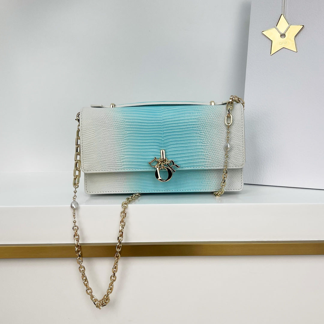 Dior 2026 Pearl Clutch Bag 21cm Leather