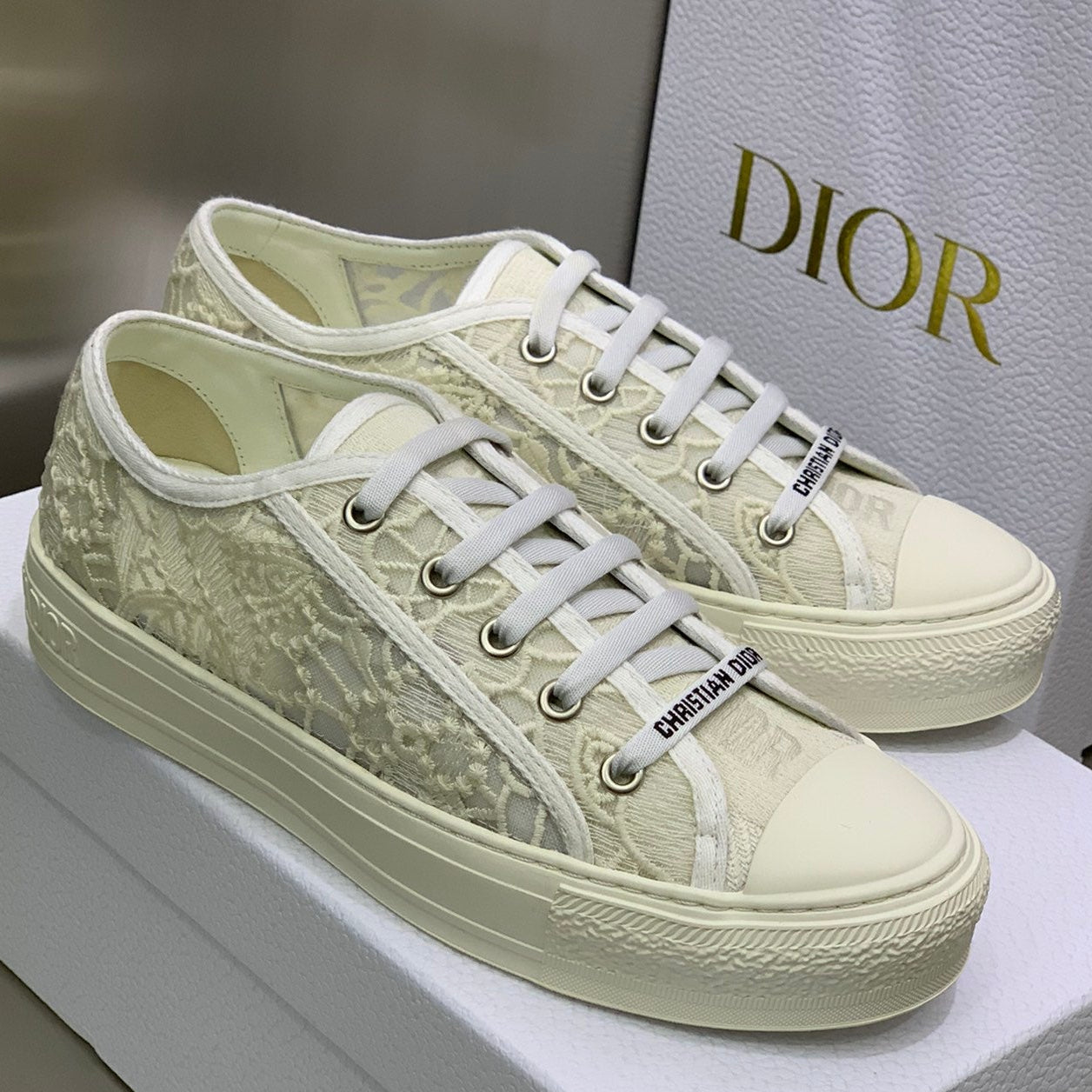 Dior 2026 Walk'n'Dior Sneakers Canvas Lace 966616