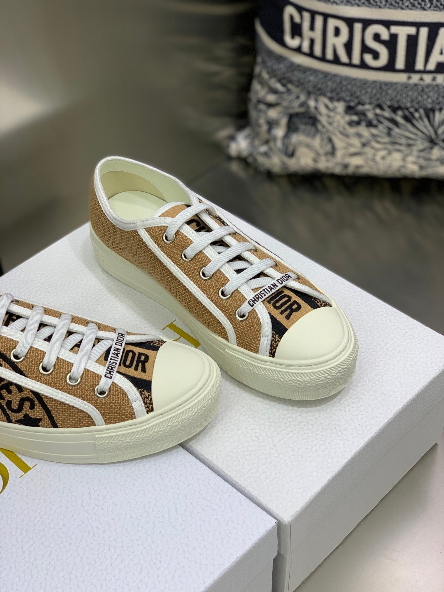 Dior 2026 Walk'n'Dior Sneakers Canvas 966620