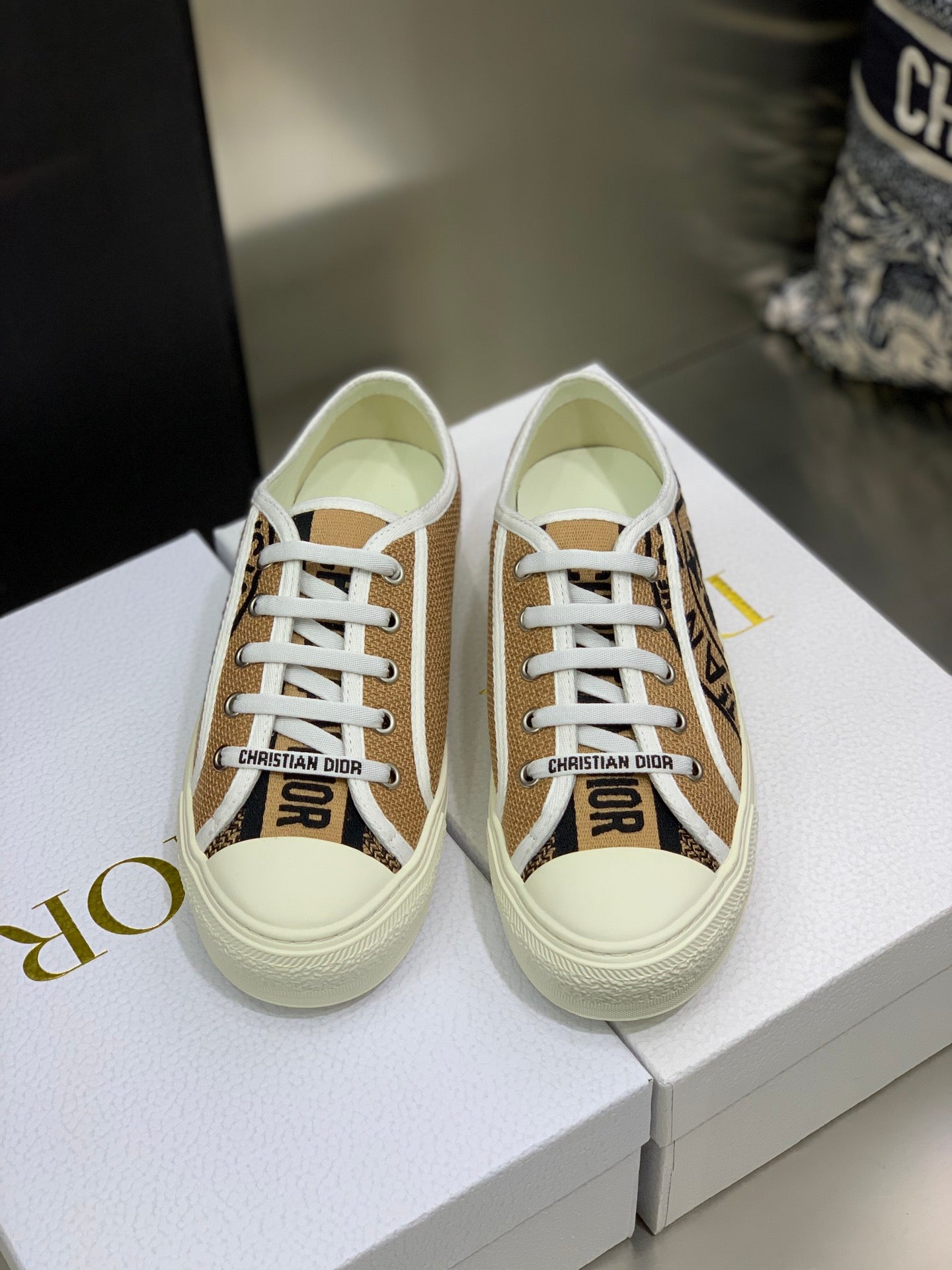 Dior 2026 Walk'n'Dior Sneakers Canvas 966620
