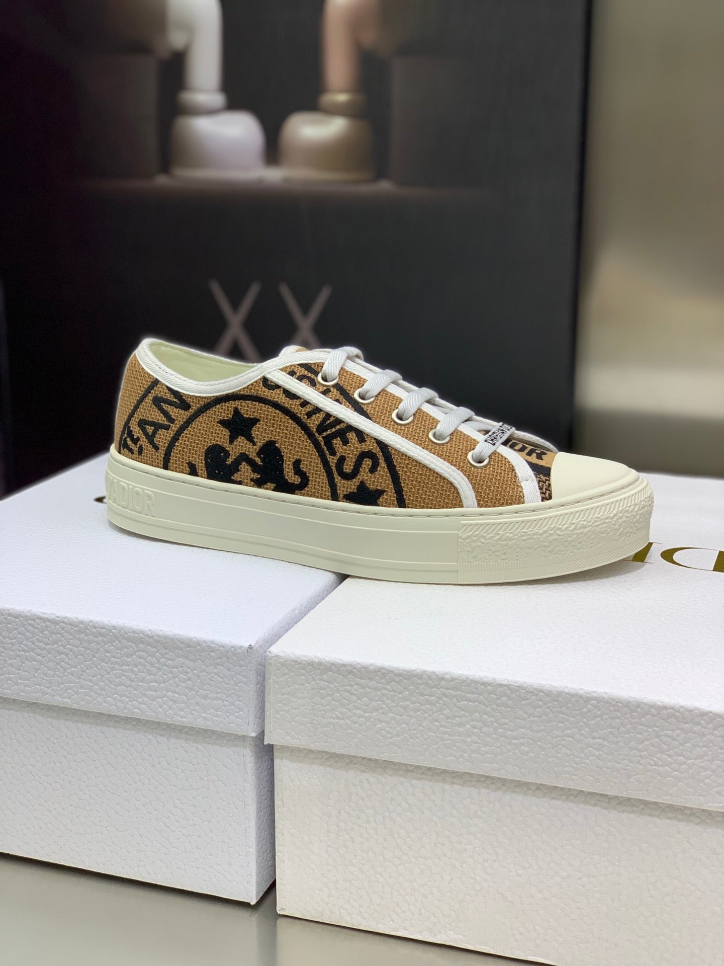 Dior 2026 Walk'n'Dior Sneakers Canvas 966620