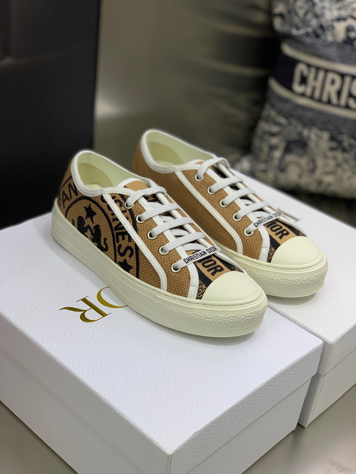 Dior 2026 Walk'n'Dior Sneakers Canvas 966620