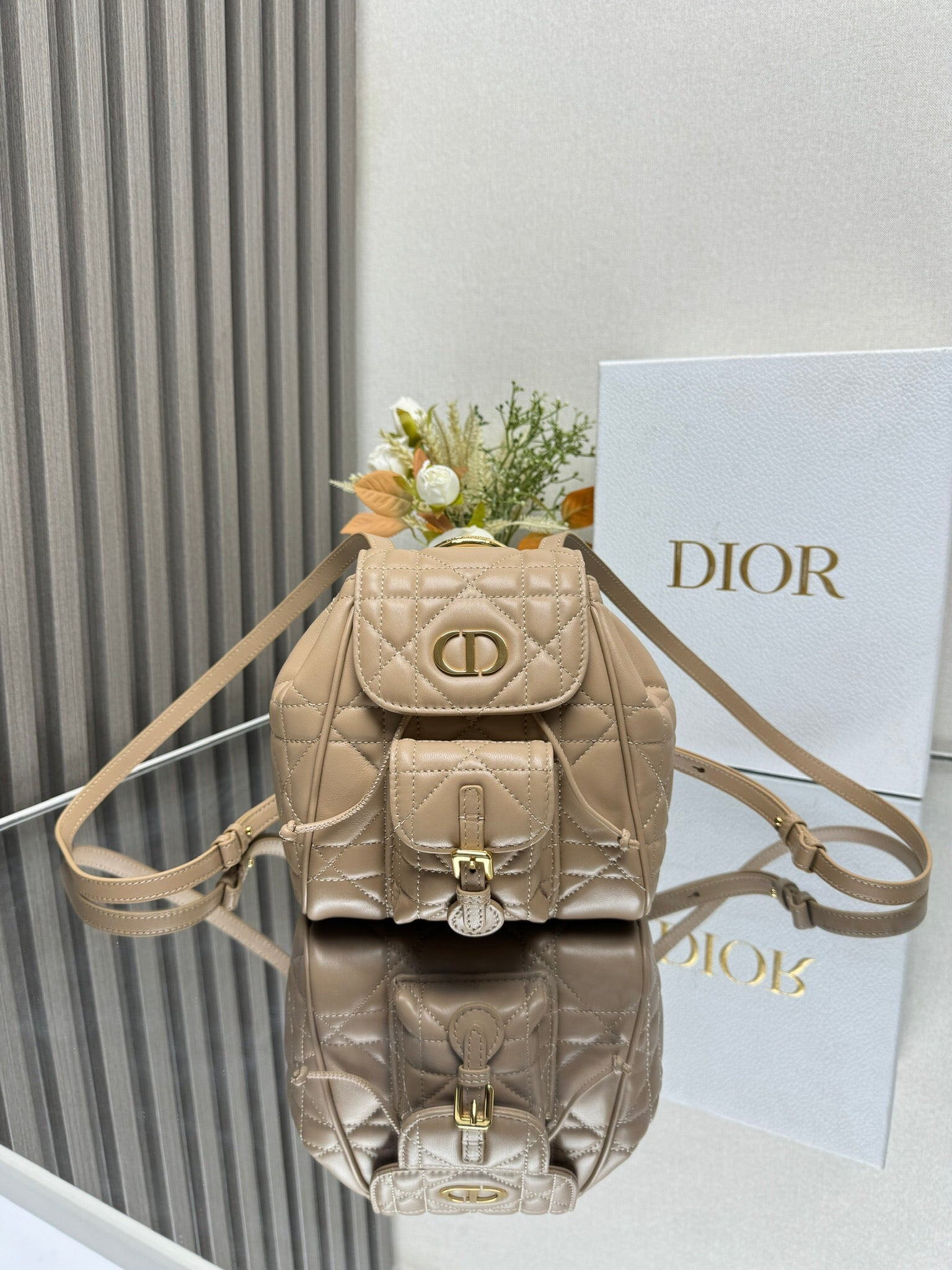 Dior 2026 Caro Backpack Lambskin