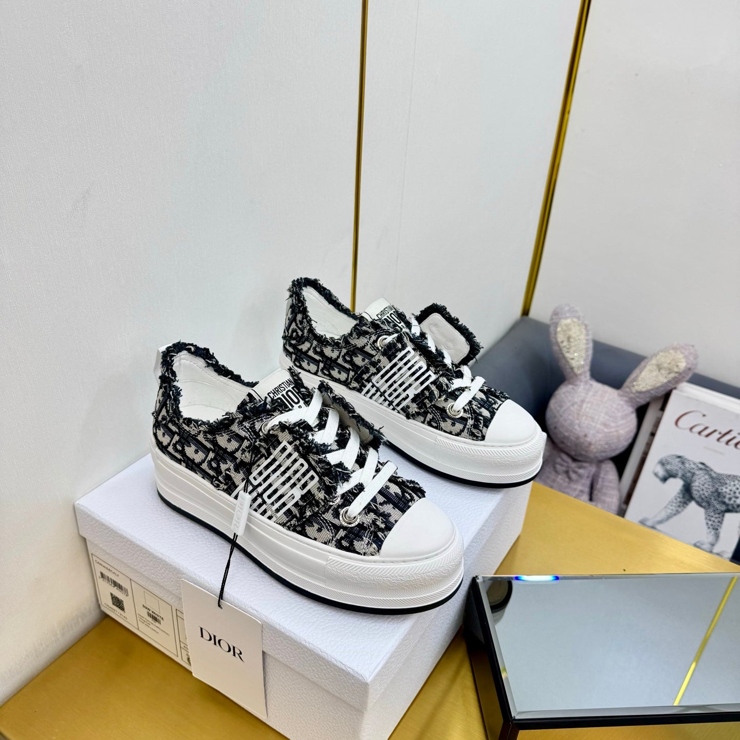 Dior 2026 Sneaker 50mm Canvas 927468