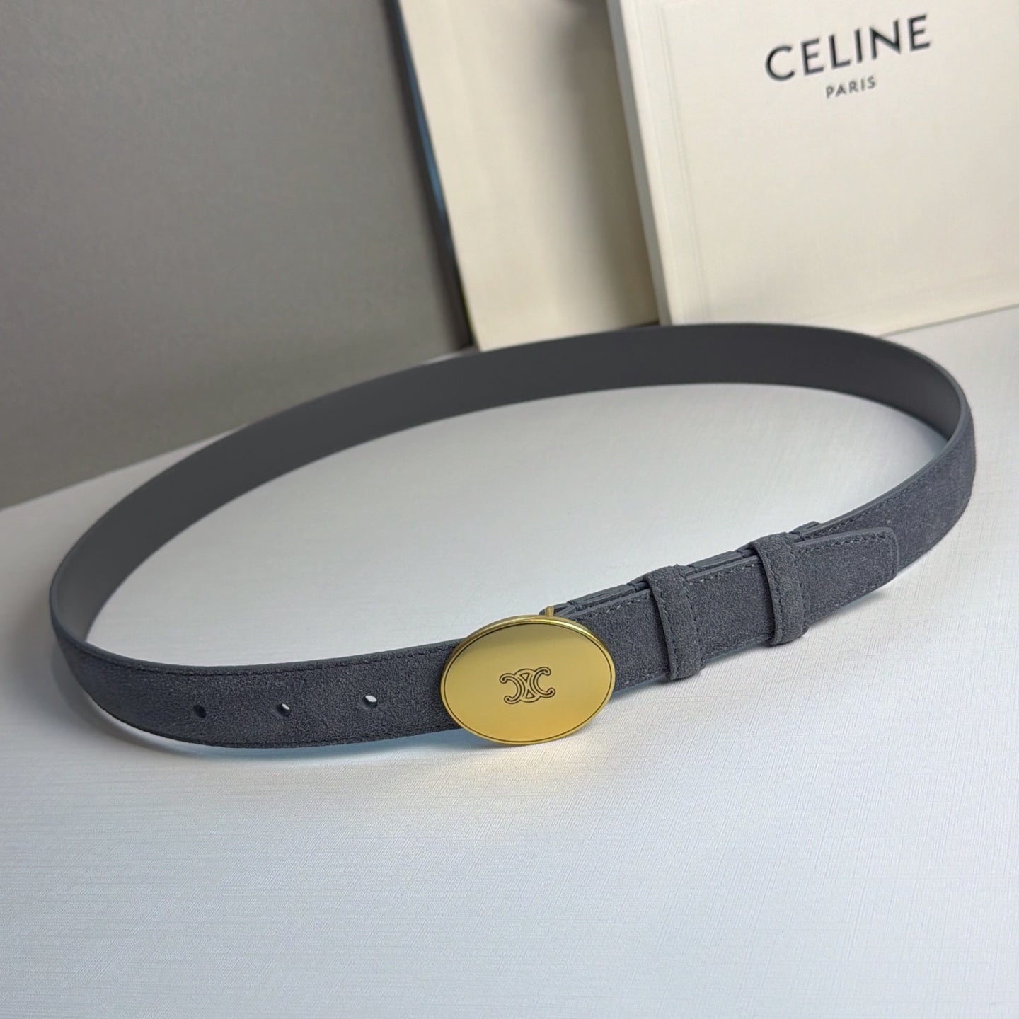 Celine 2026 Triomphe Belt 25mm Suede 205745