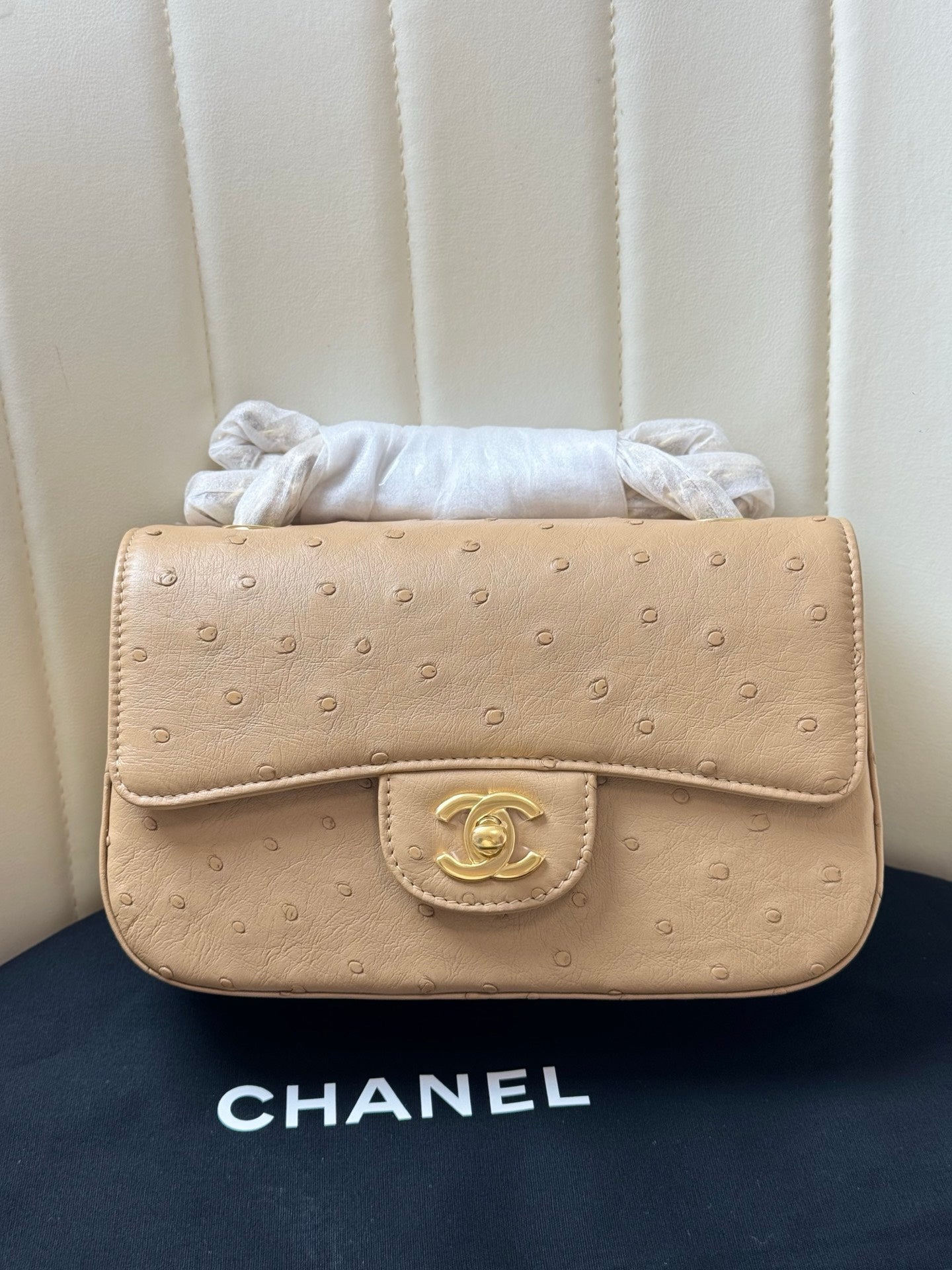 Chanel 2026 Flap Ostrich Embossed Bag 20cm Leather