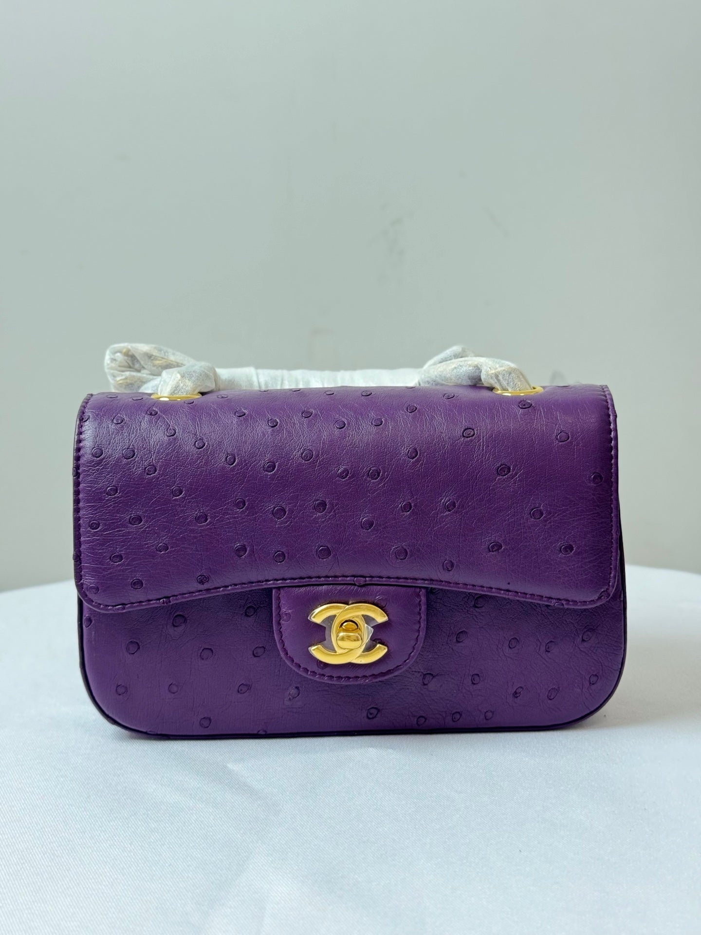 Chanel 2026 Flap Ostrich Embossed Bag 20cm Leather