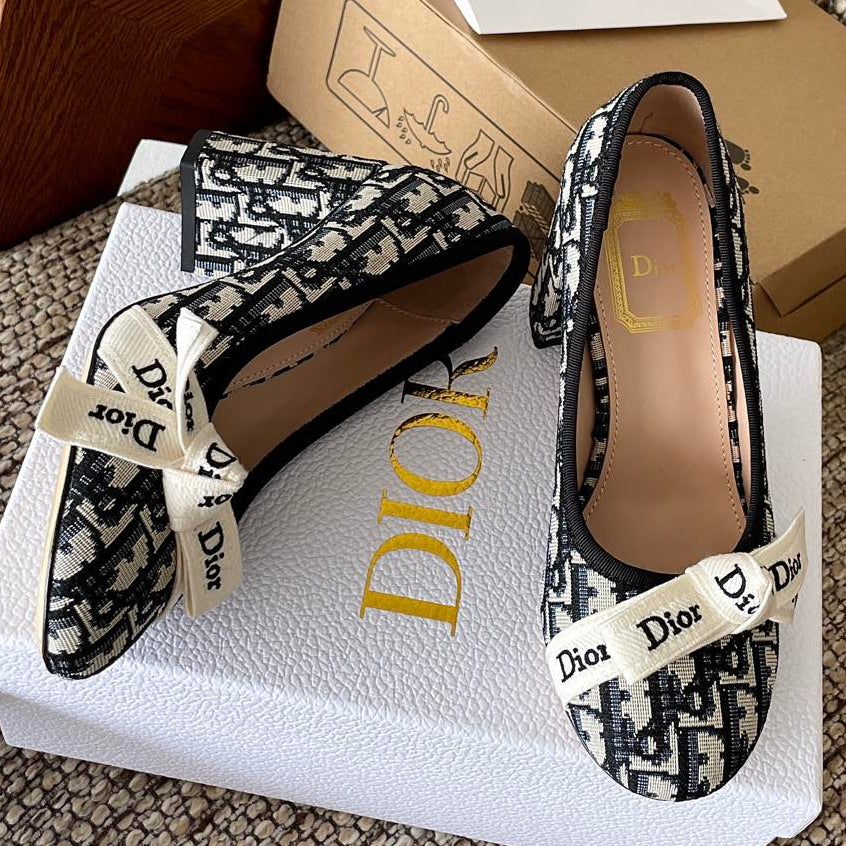 Dior 2026 Embroidered Ribbon Pumps 80mm Suede Canvas Leather 975505
