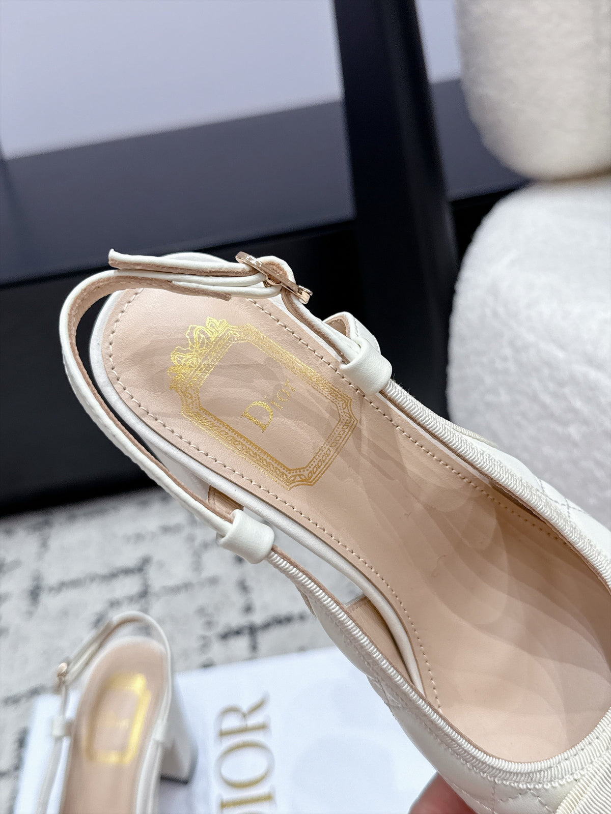 Dior 2026 Ballet Slingback 85mm Leather Canvas 139297