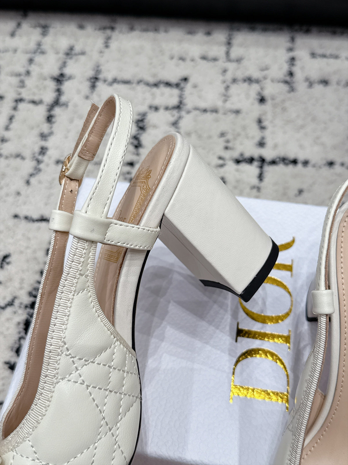 Dior 2026 Ballet Slingback 85mm Leather Canvas 139297