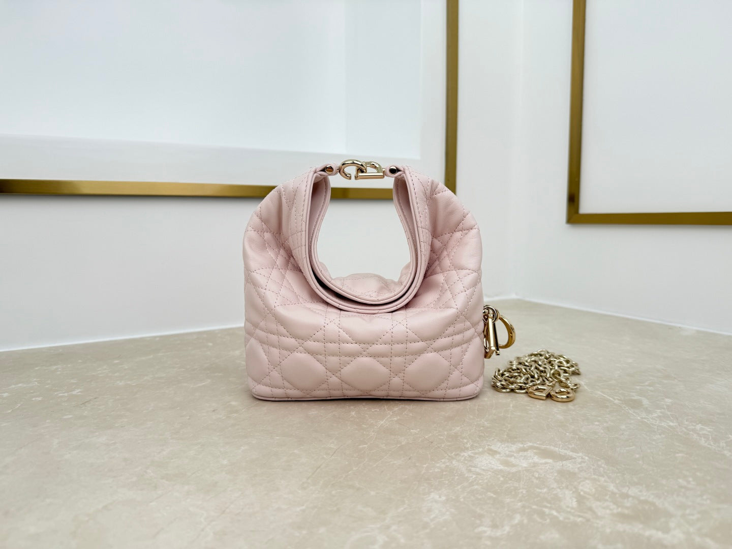 Dior 2026 Toujours Hobo Bag Lambskin
