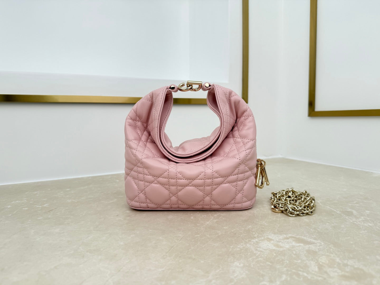 Dior 2026 Toujours Hobo Bag Lambskin