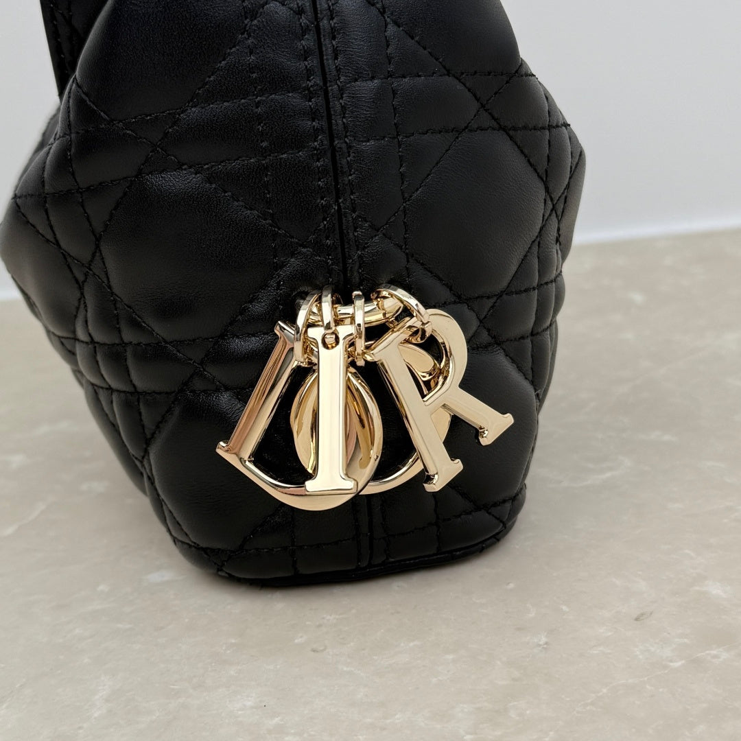 Dior 2026 Toujours Hobo Bag Lambskin