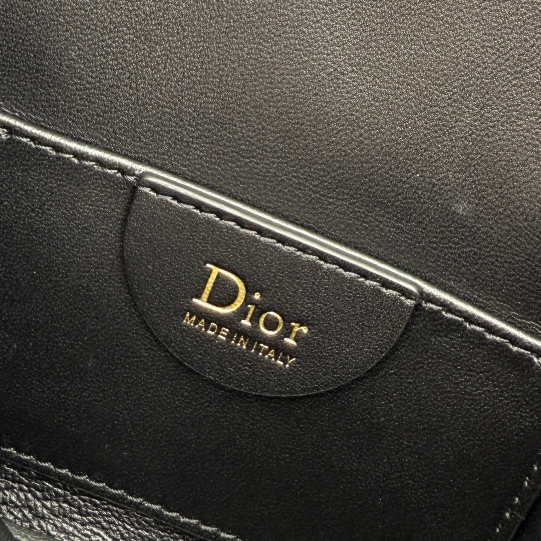 Dior 2026 Toujours Hobo Bag Lambskin