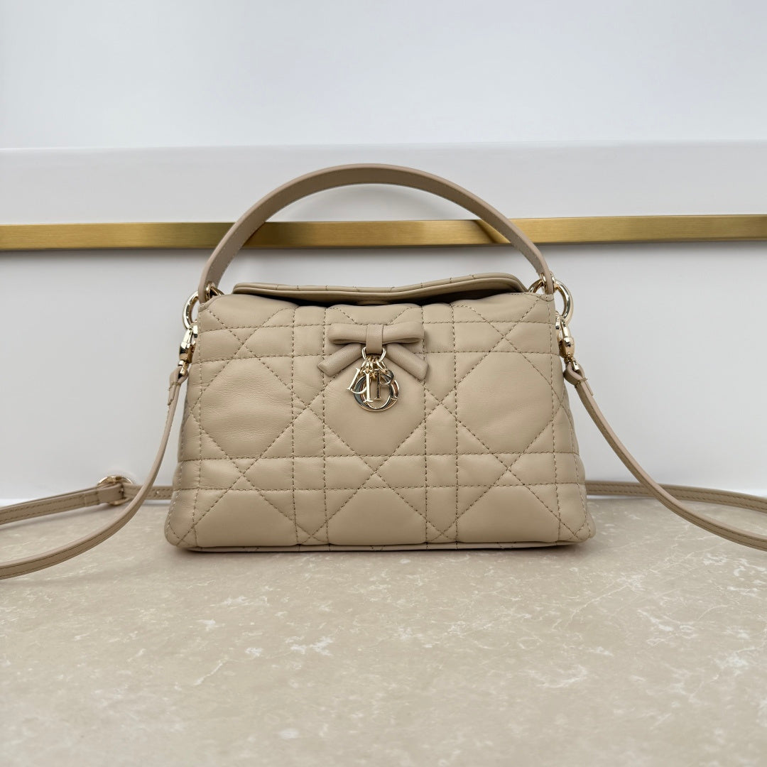 Dior 2026 Adiorable Top Handle Bag 22.5cm Suede Lambskin 166137