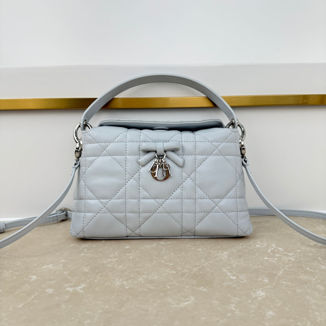 Dior 2026 Adiorable Top Handle Bag 22.5cm Suede Lambskin 166137
