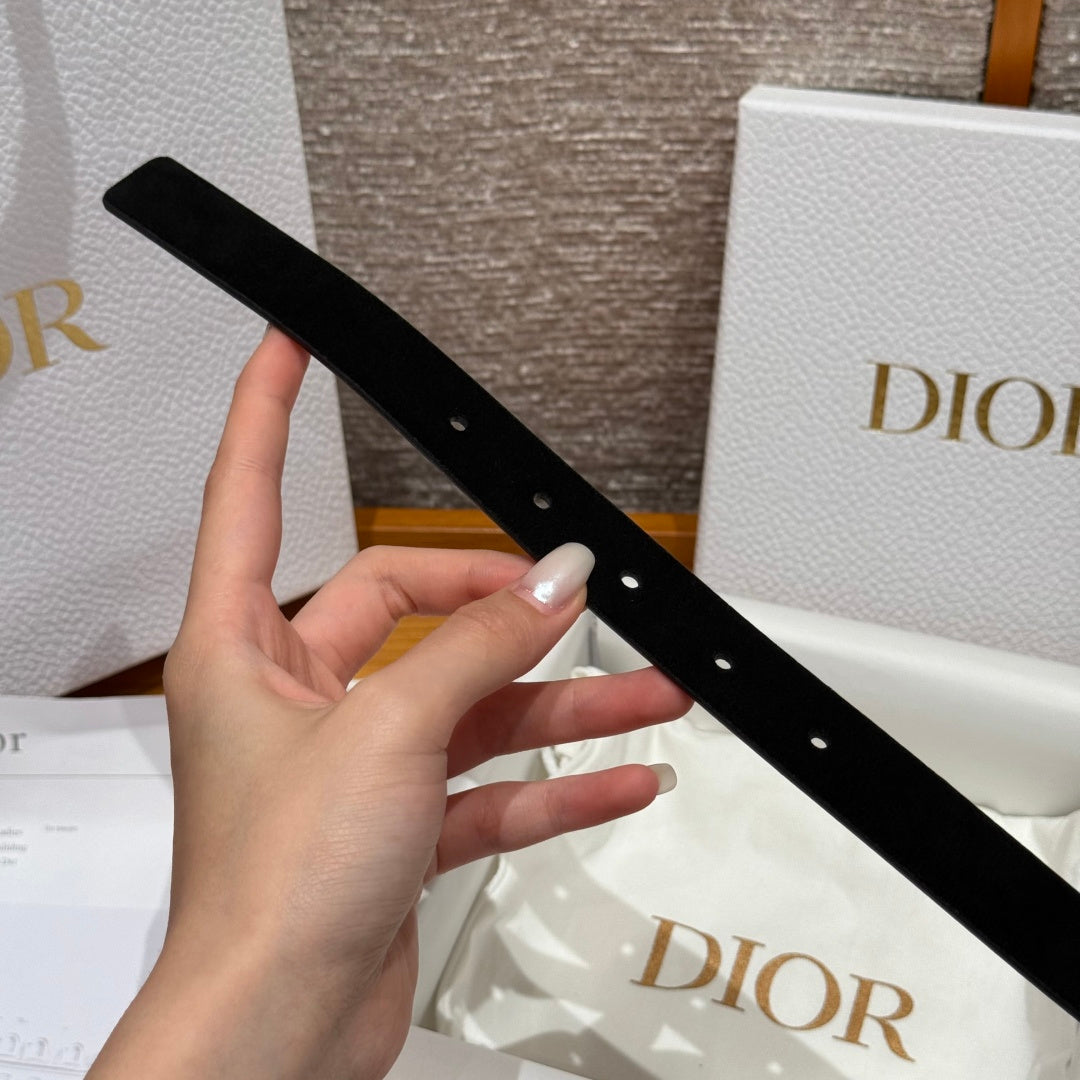 Dior 2026 CD Buckle Belt 20mm Suede 193832