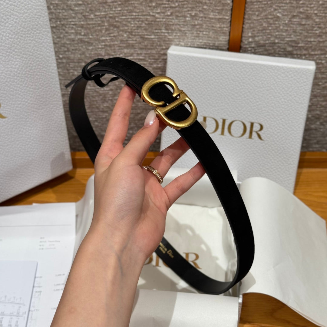 Dior 2026 CD Buckle Belt 20mm Suede 193832
