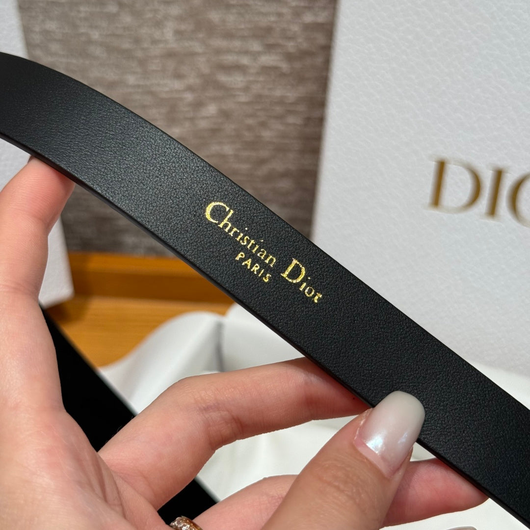 Dior 2026 CD Buckle Belt 20mm Suede 193832