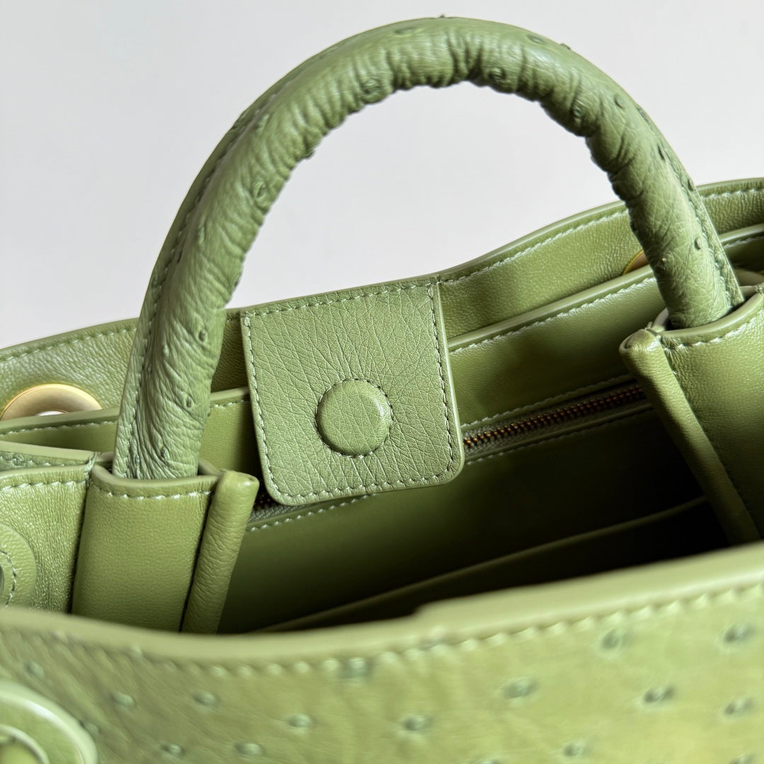 Bottega Veneta 2026 Andiamo Bag Avocado Green Ostrich Leather