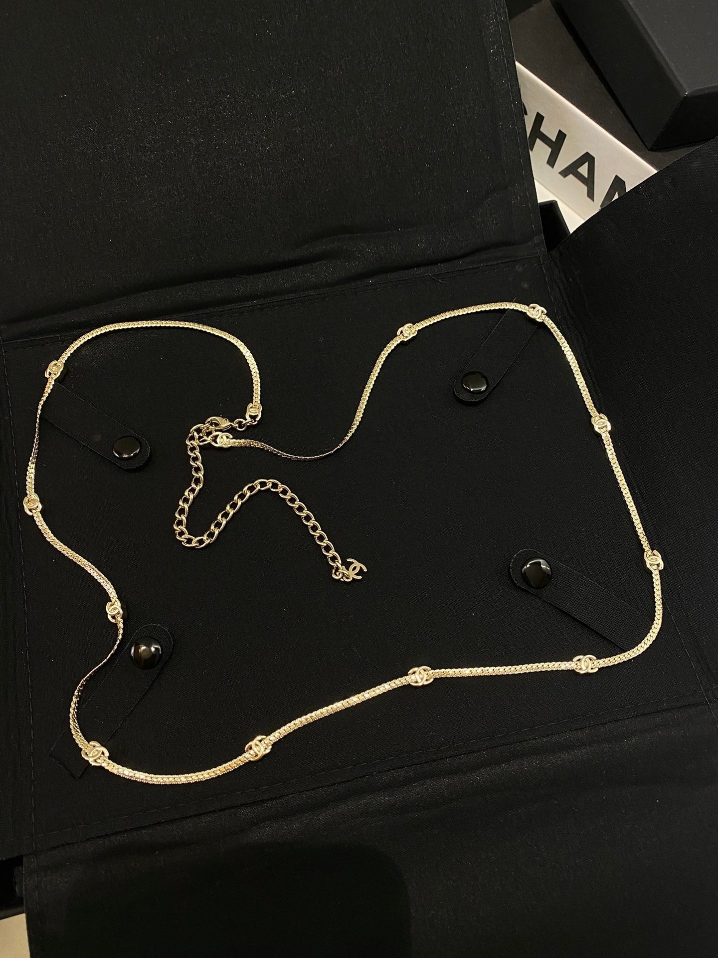Chanel 2026 Snake Bone Waist Chain Belt 207007