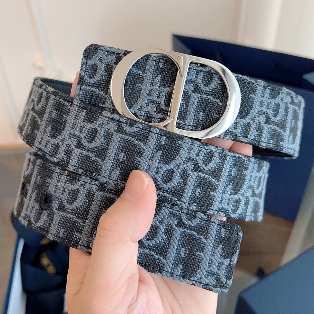 Dior 2026 Oblique Waist Belt 35mm Canvas 189414