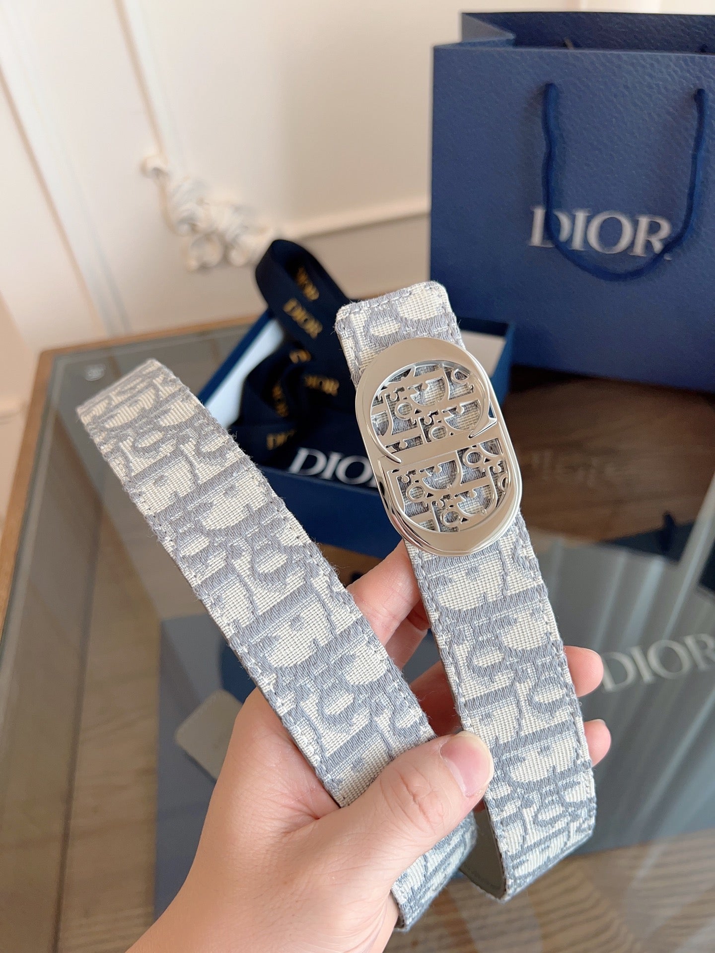 Dior 2026 Oblique CD Buckle Belt 35mm Gray Canvas 189413