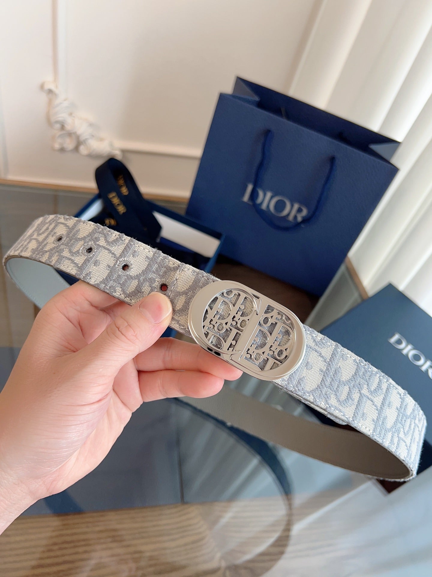 Dior 2026 Oblique CD Buckle Belt 35mm Gray Canvas 189413