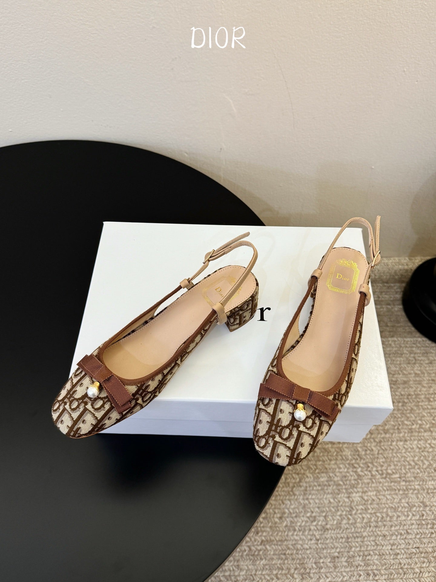 Dior 2026 Embroidered Slingback 30mm Cotton Leather 933329