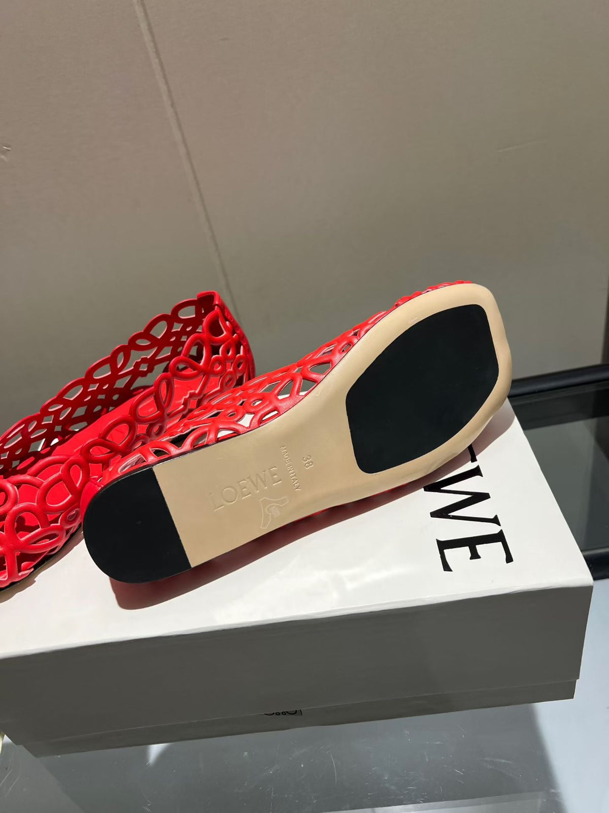 Loewe 2026 Petal Anagram Ballet Flat Lambskin 168351