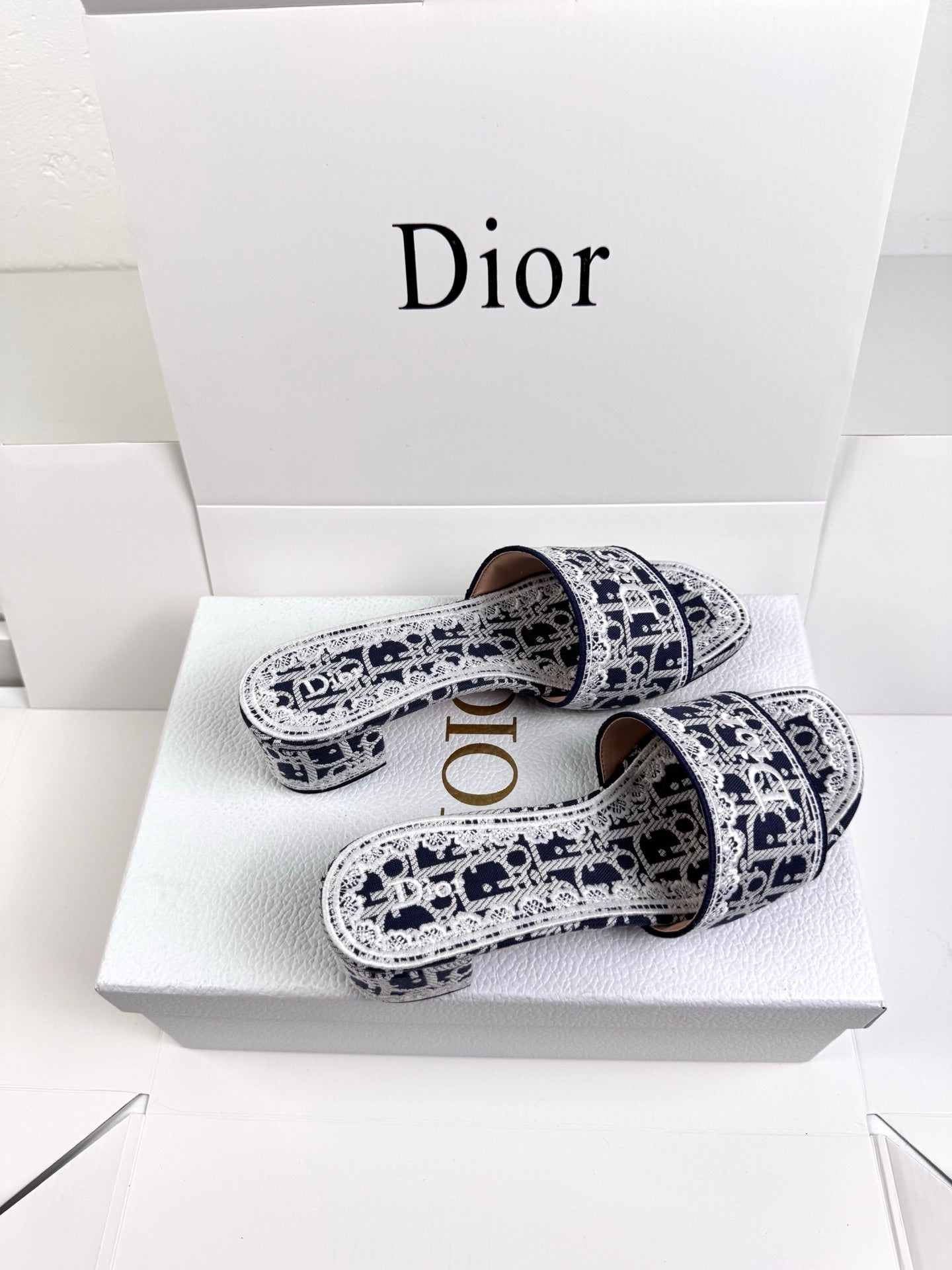 Dior 2026 Sandals Fabric 904825
