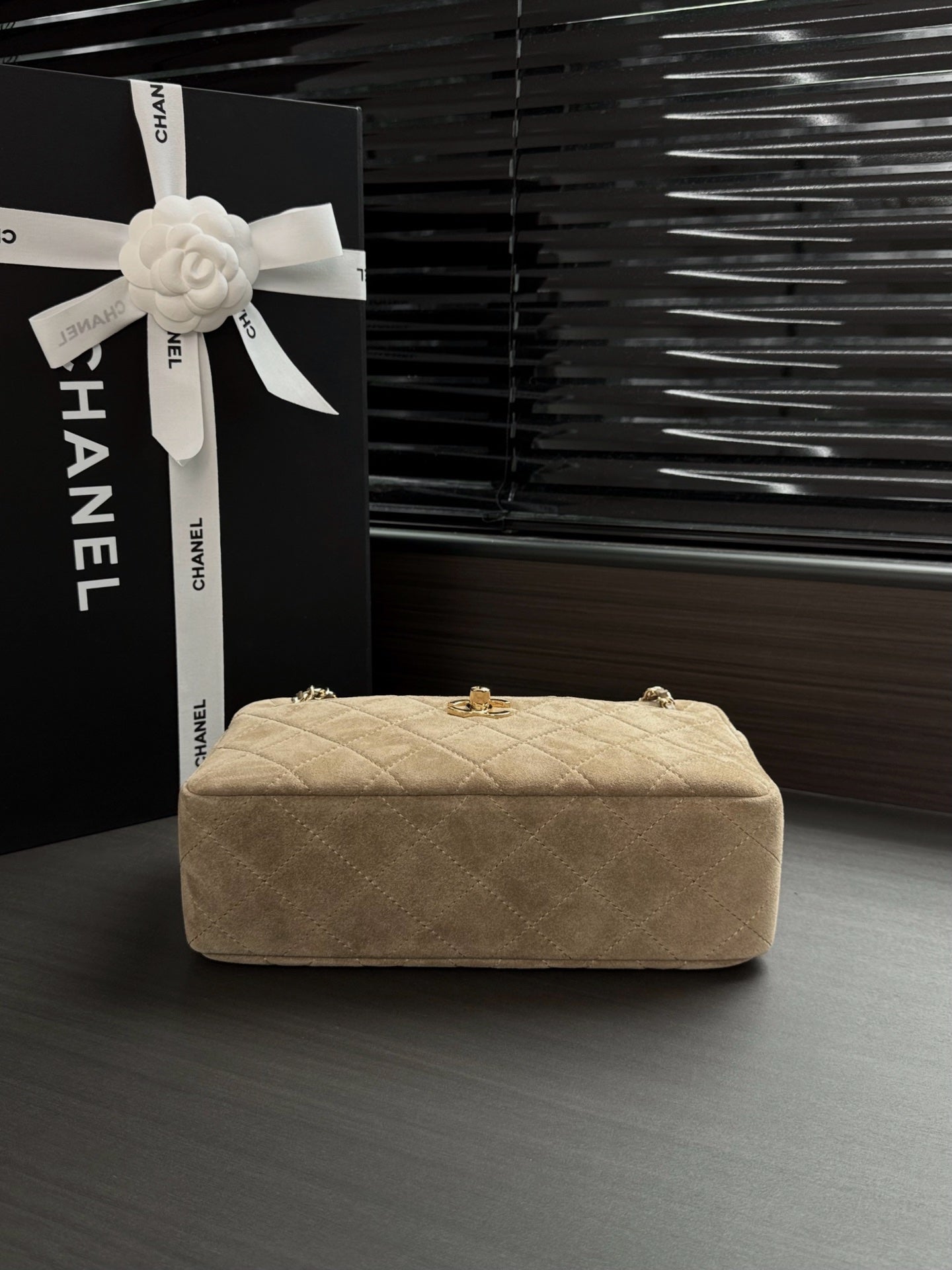 Chanel 2026 Camera Bag 24.5cm Suede Lambskin
