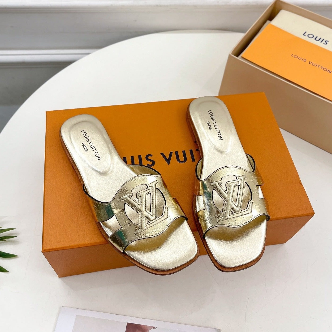Louis Vuitton Shoes