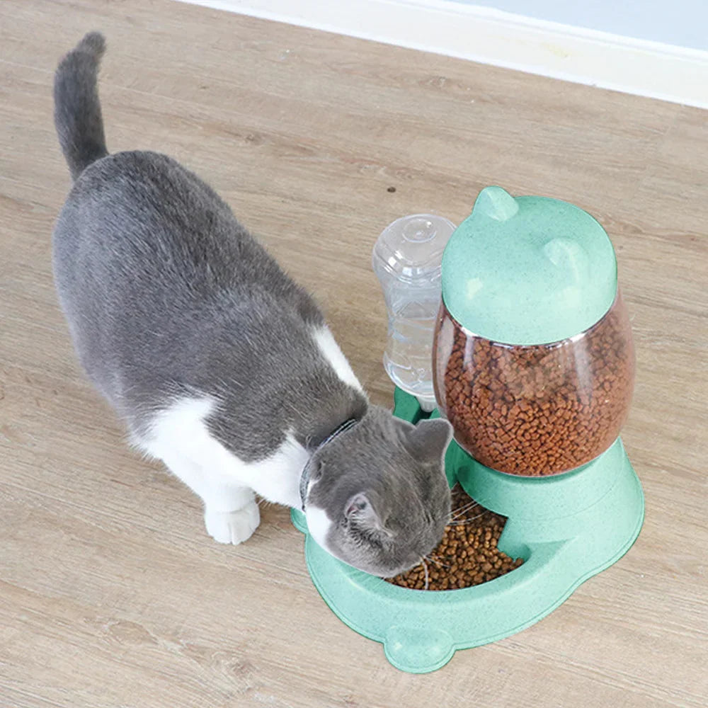 DERY - Bol d'alimentation automatique pour chat
